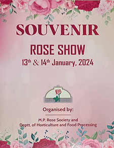 MP Rose Society - souvenir