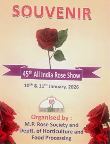 MP Rose Society - souvenir