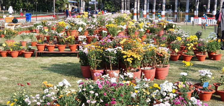 MPRS :: Guldaudi Show